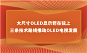 ߴOLEDʾϣ·ƶOLEDӷչ