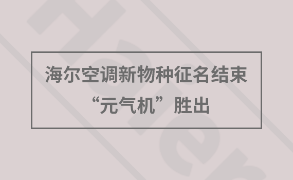 յ Ԫʤ