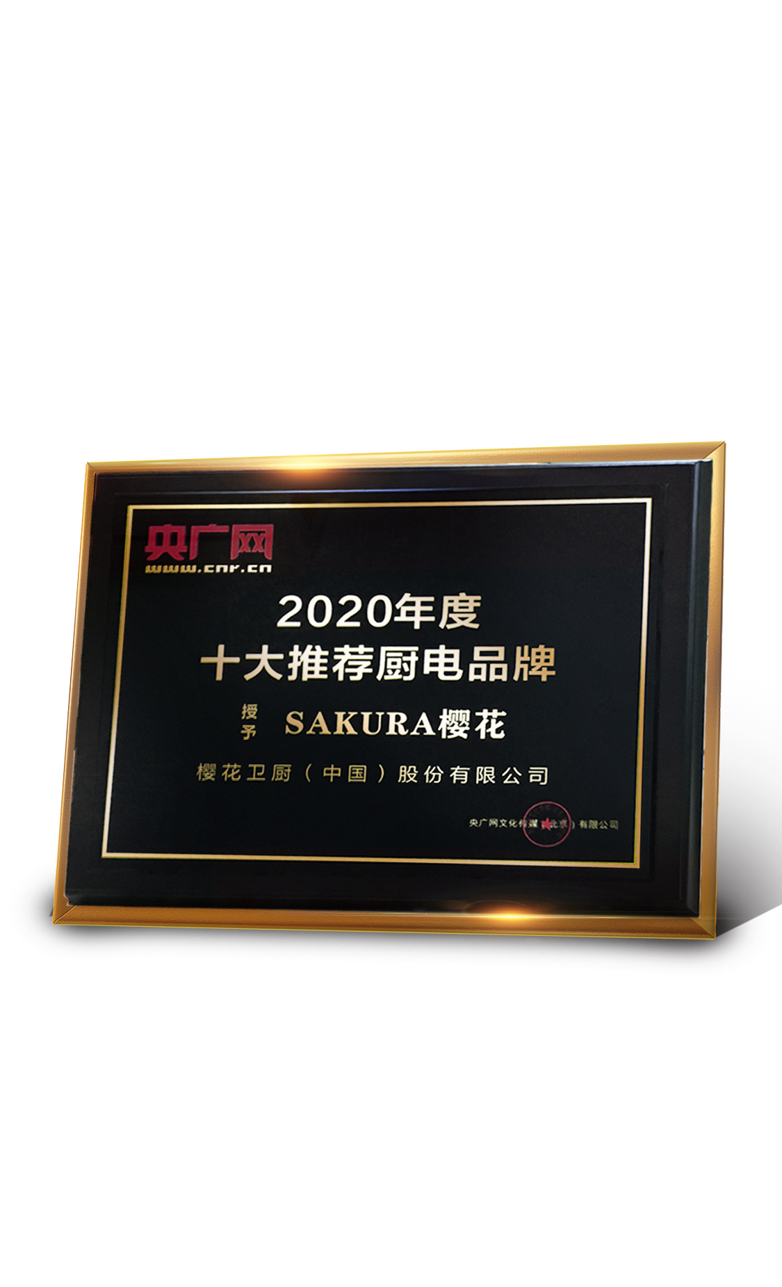 ͻΧ  ӣٻ2020ʮƼƷ