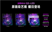 AWE2023ѵ65R6նӽ硰˹