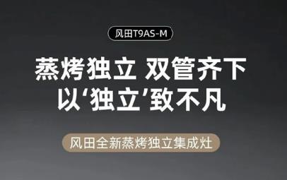 Ƥ�������߷��ڣ�����T9AS-M��8�������������������������ȼ�����