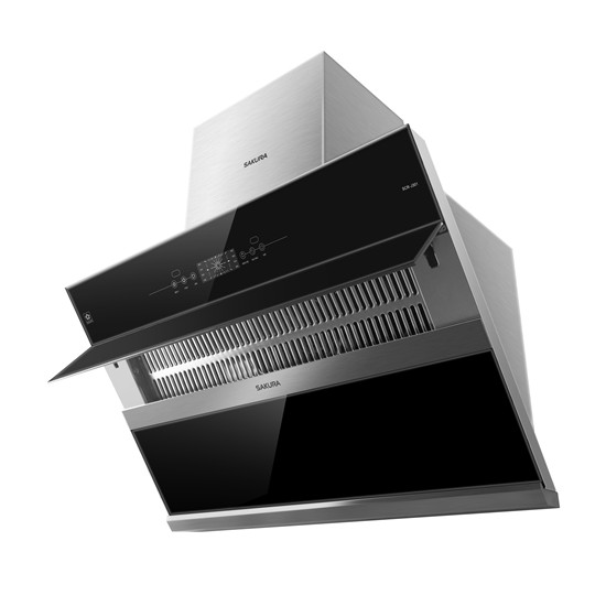 ǻ۱SAKURAӣΪͥone more thing